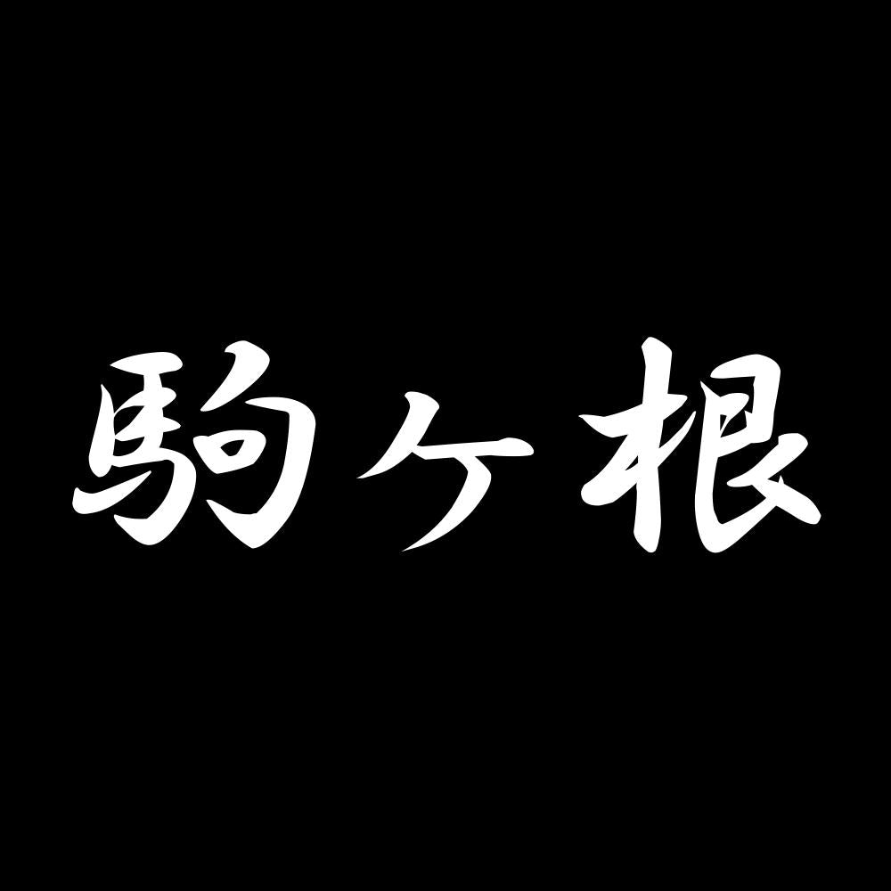 駒ヶ根 7