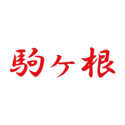 駒ヶ根 8