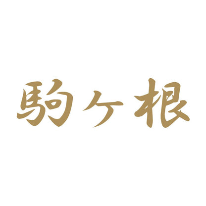 駒ヶ根 9