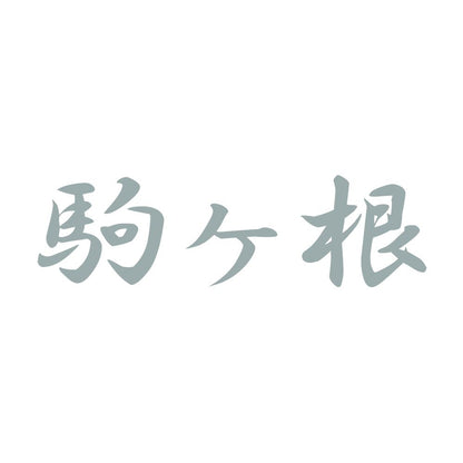 駒ヶ根 10