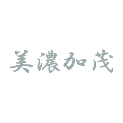 美濃加茂 10