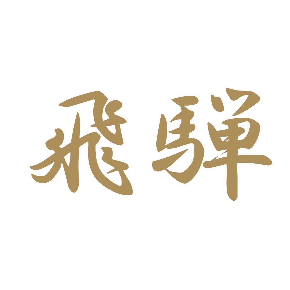 飛騨 9