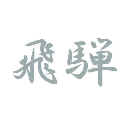 飛騨 10