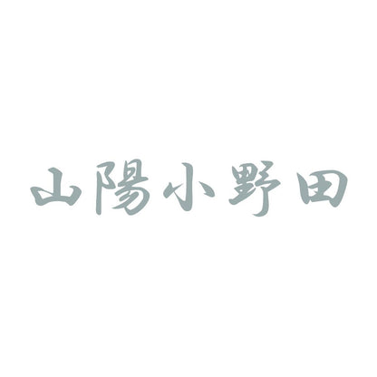 山陽小野田 10