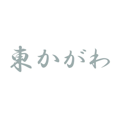 東かがわ 10