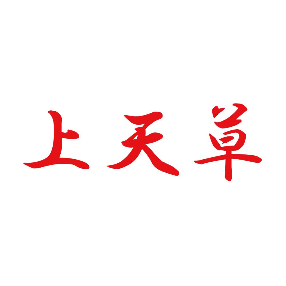 上天草 8