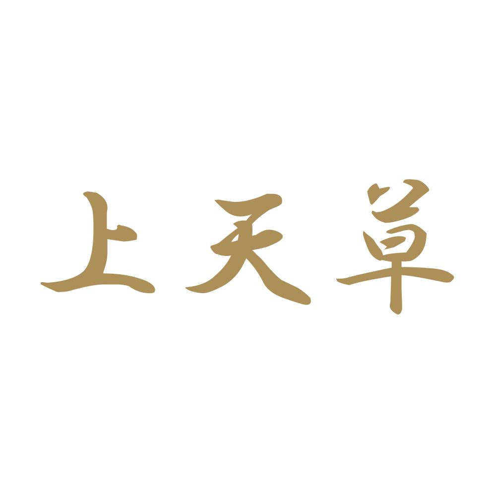 上天草 9