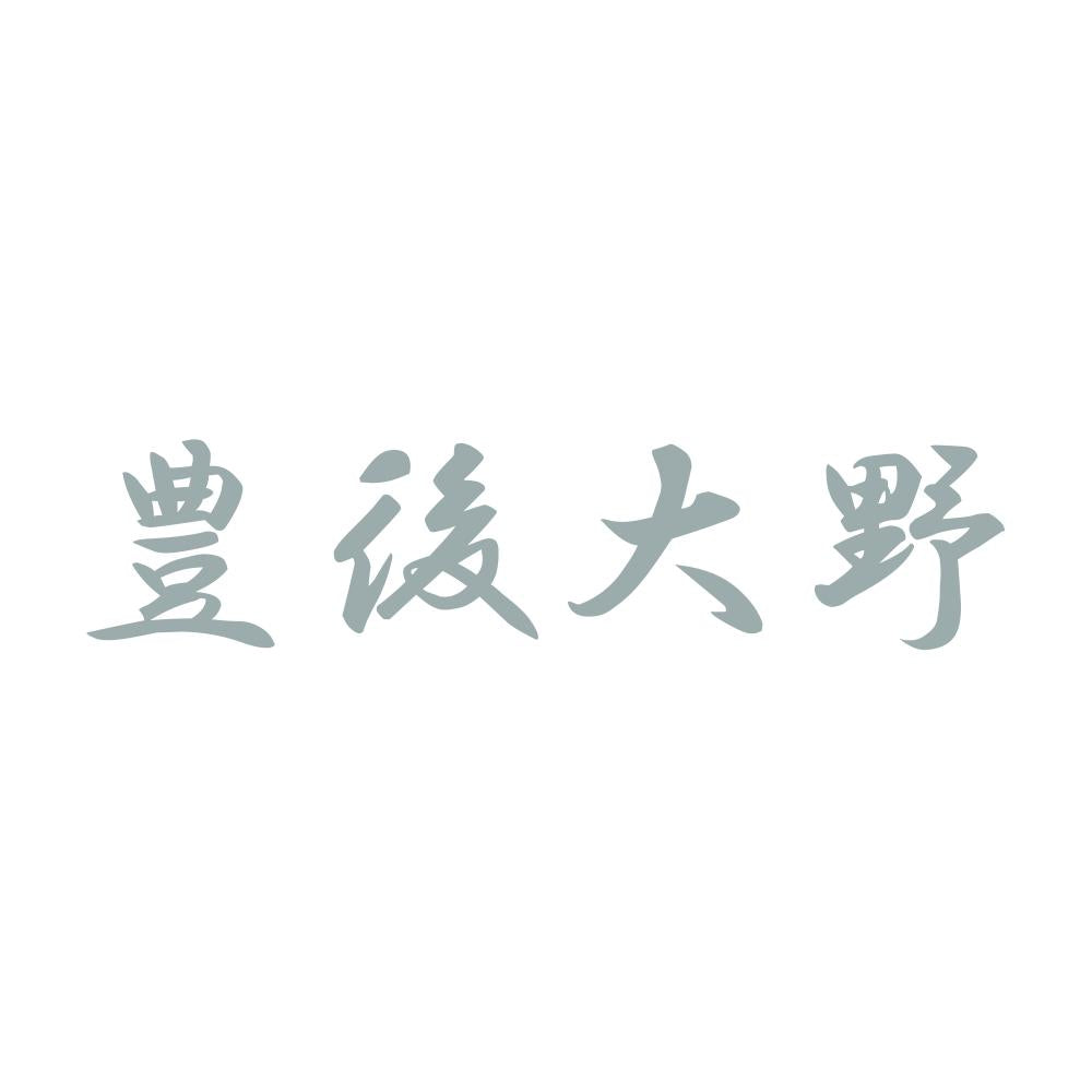 豊後大野 10