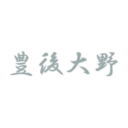 豊後大野 10