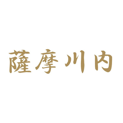 薩摩川内 9