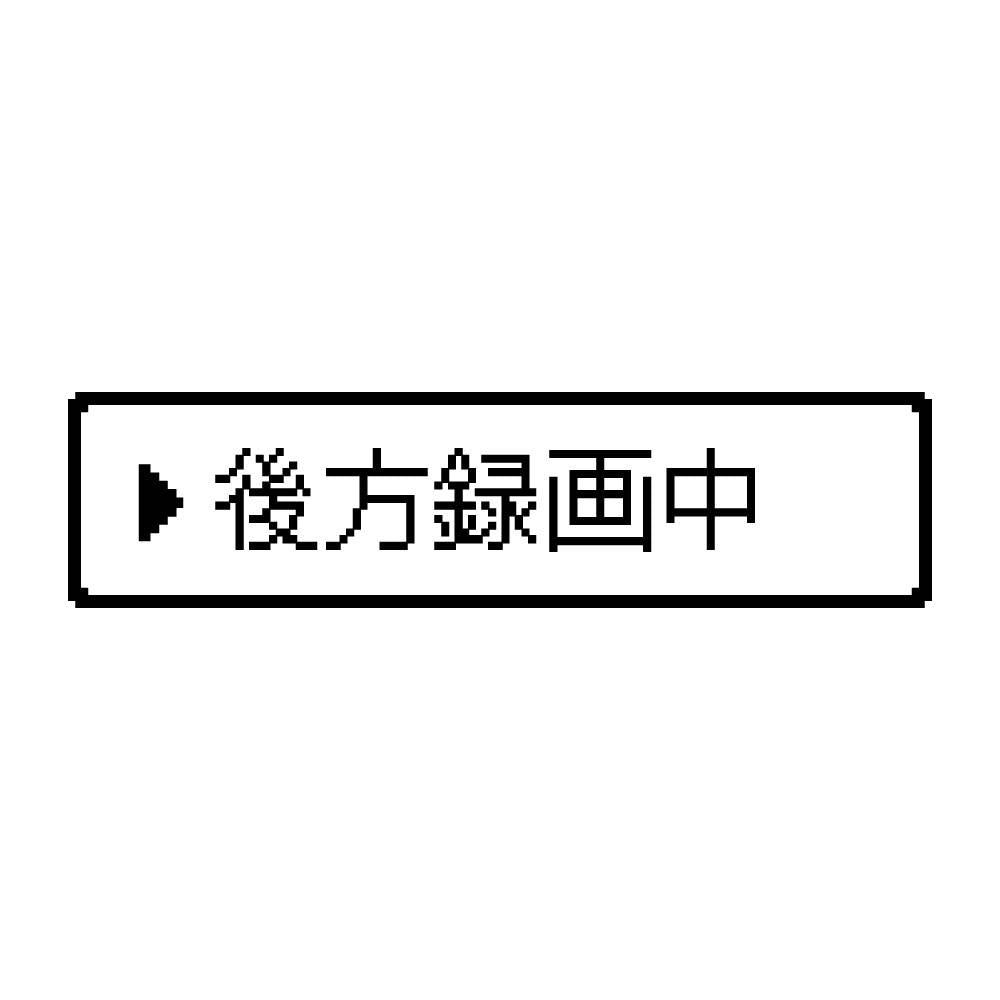 レトロゲーム風 後方録画中