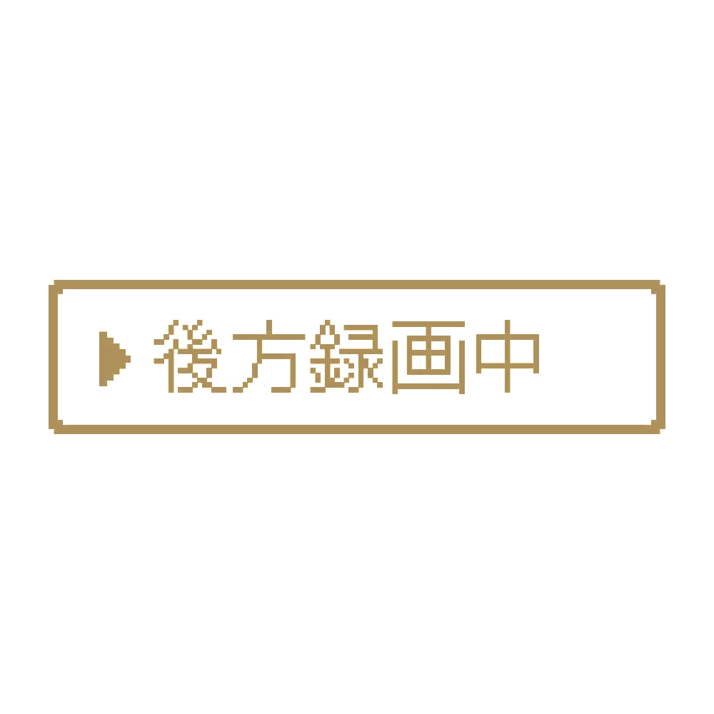 レトロゲーム風 後方録画中 9