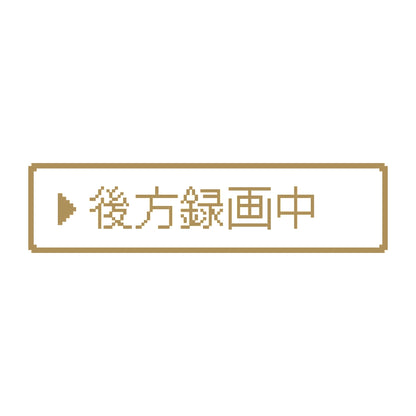 レトロゲーム風 後方録画中 9
