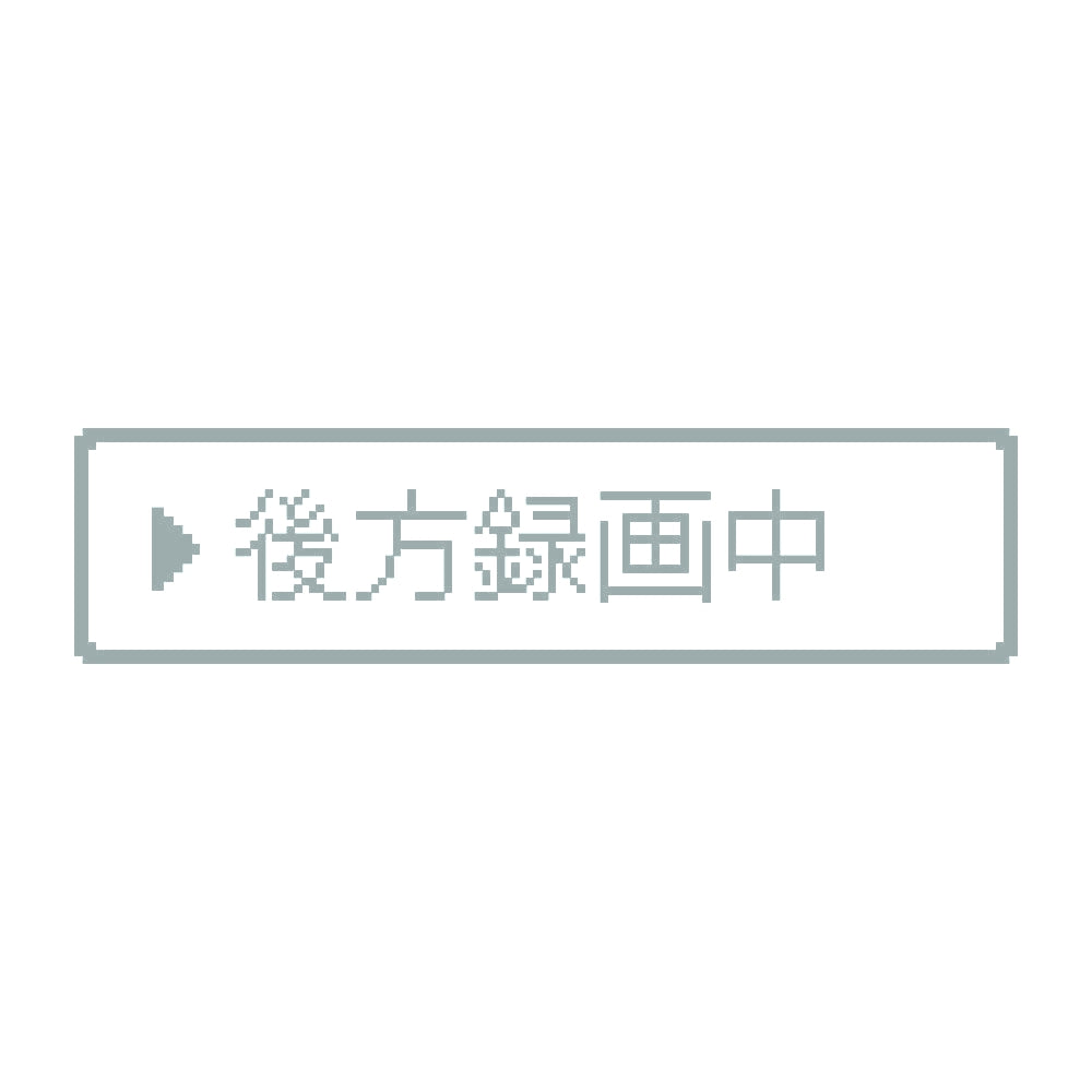 レトロゲーム風 後方録画中 10
