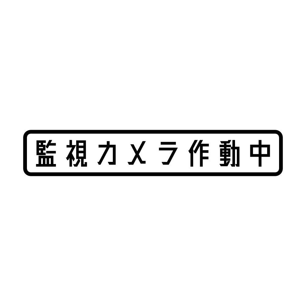 監視カメラ作動中