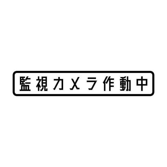 監視カメラ作動中