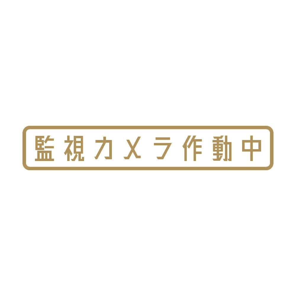 監視カメラ作動中 9