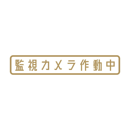 監視カメラ作動中 9
