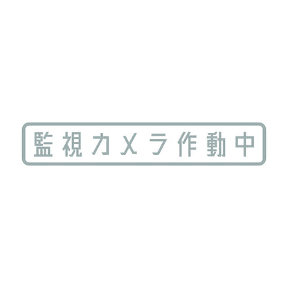 監視カメラ作動中 10