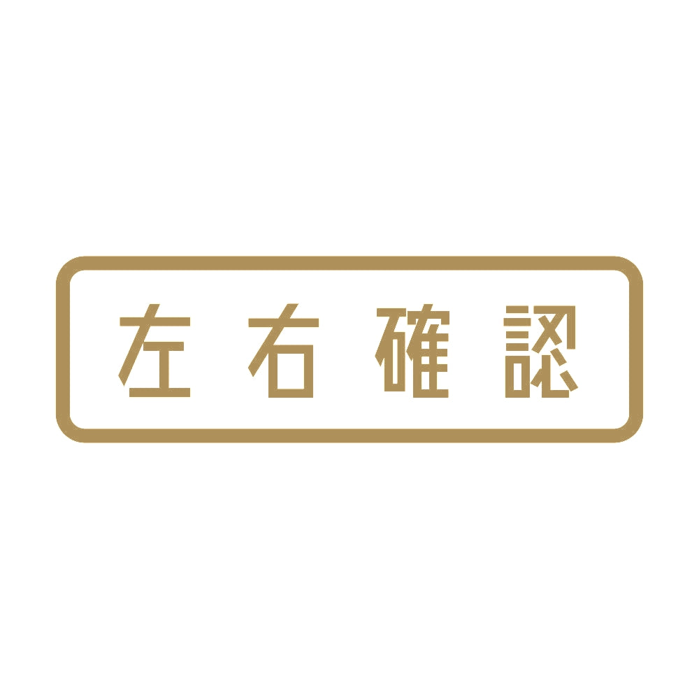 左右確認 9