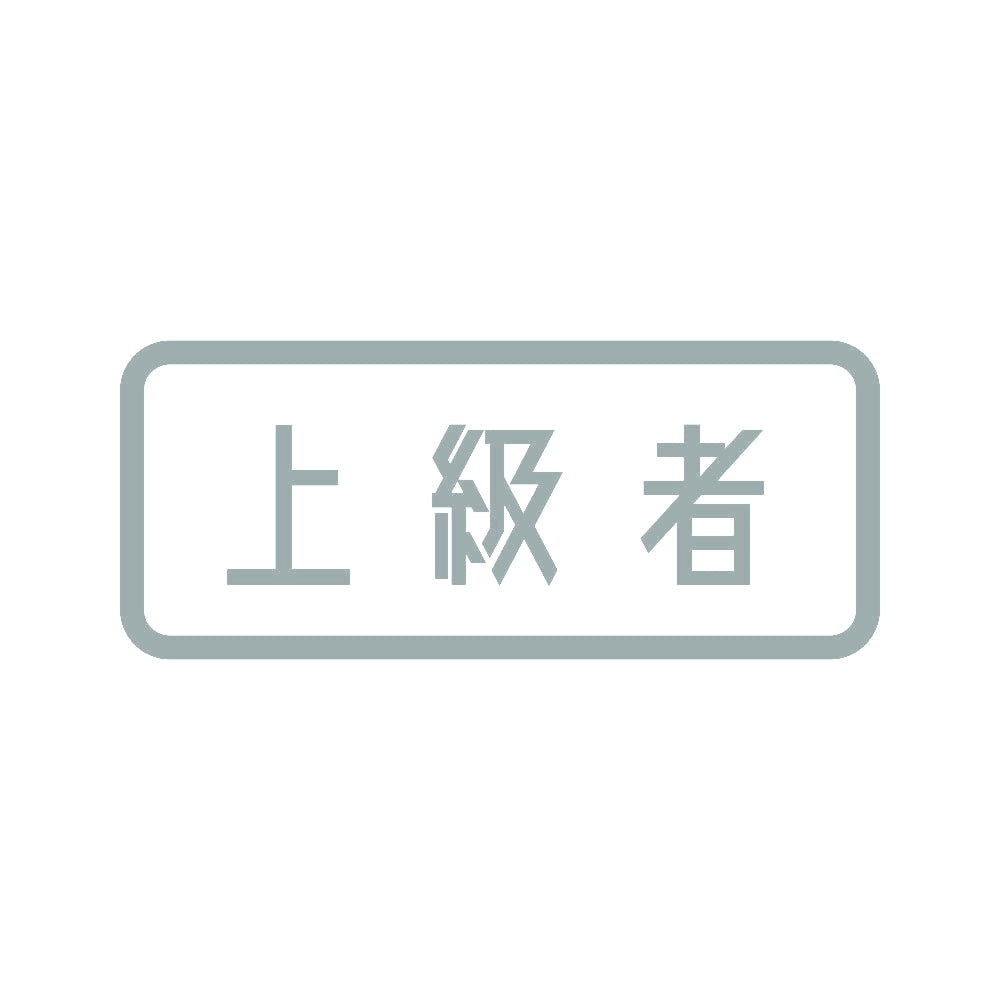 上級者 (B) 10