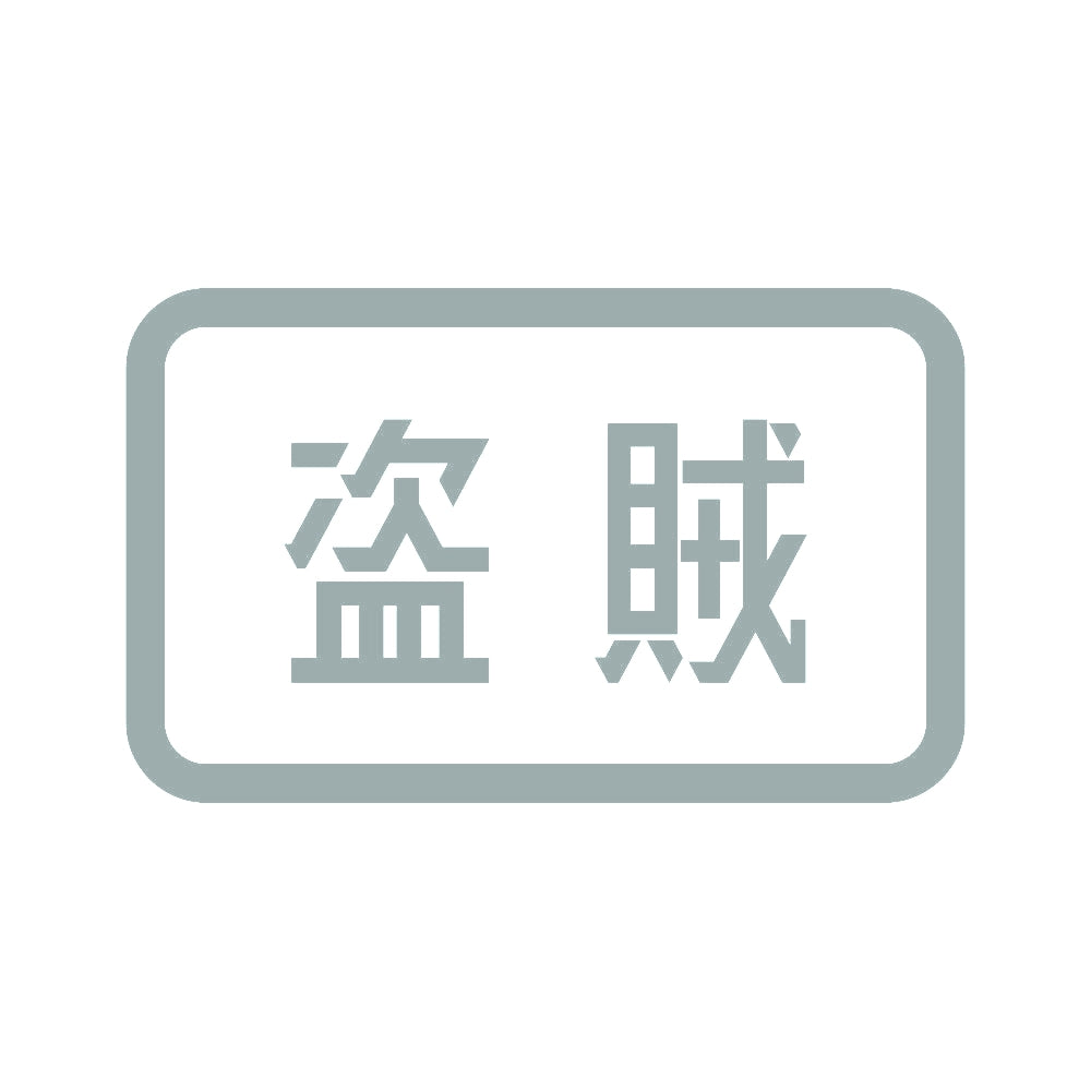 盗賊 10