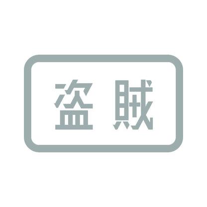 盗賊 10