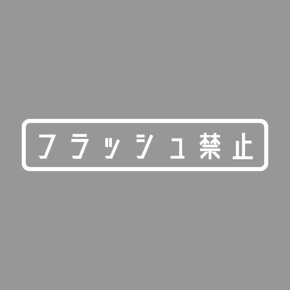 フラッシュ禁止 7