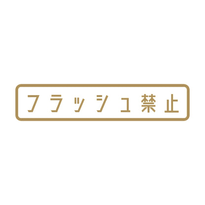 フラッシュ禁止 9