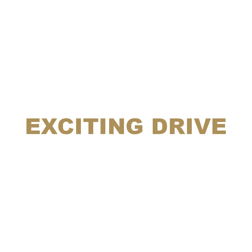EXCITING DRIVE 9