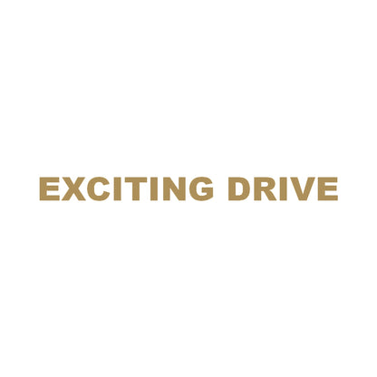 EXCITING DRIVE 9