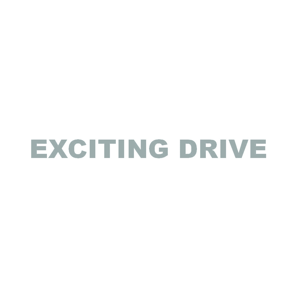EXCITING DRIVE 10