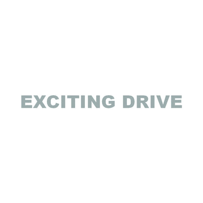 EXCITING DRIVE 10