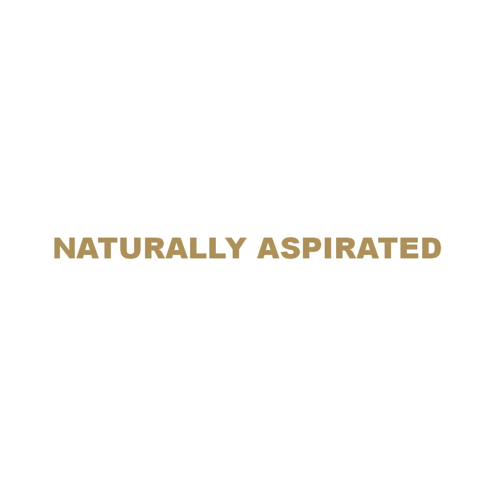 NATURALLY ASPIRATED (A) 9
