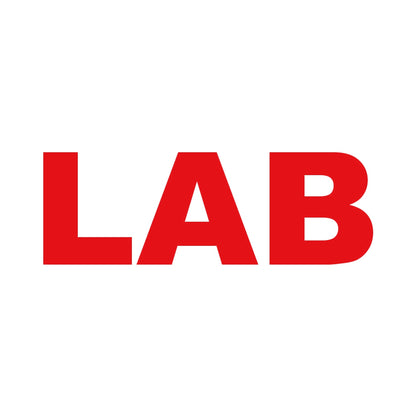 LAB 8