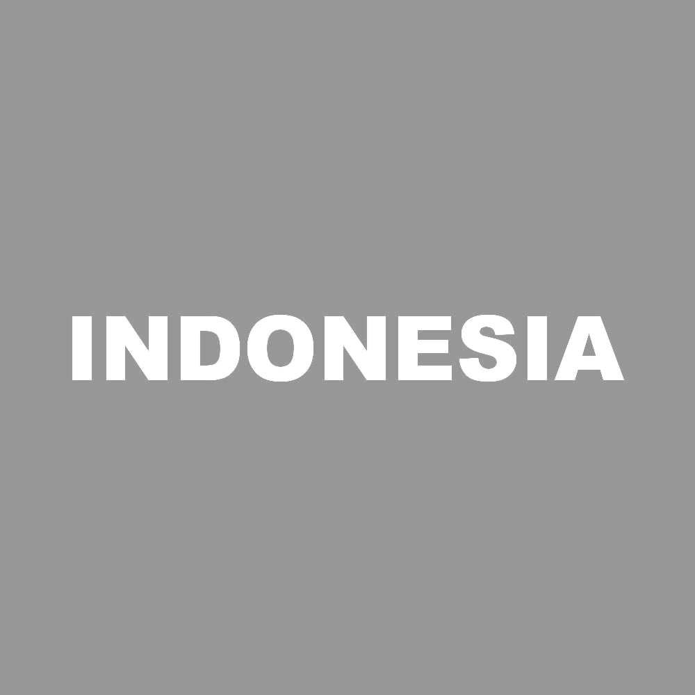 INDONESIA 7