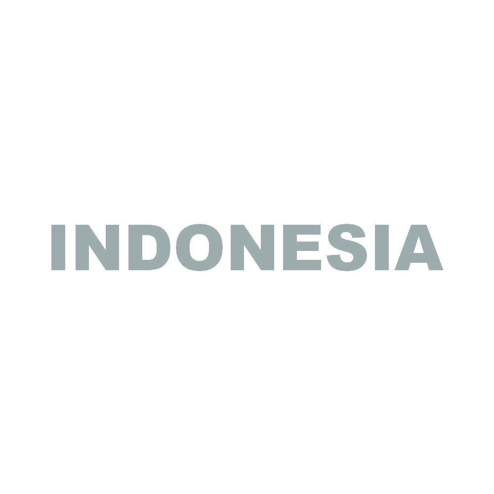 INDONESIA 10