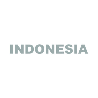 INDONESIA 10