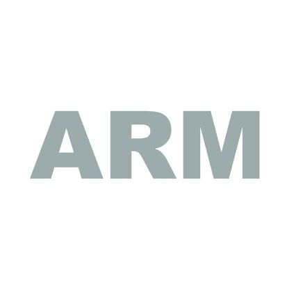 ARM 10