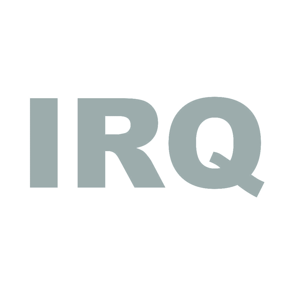 IRQ 10