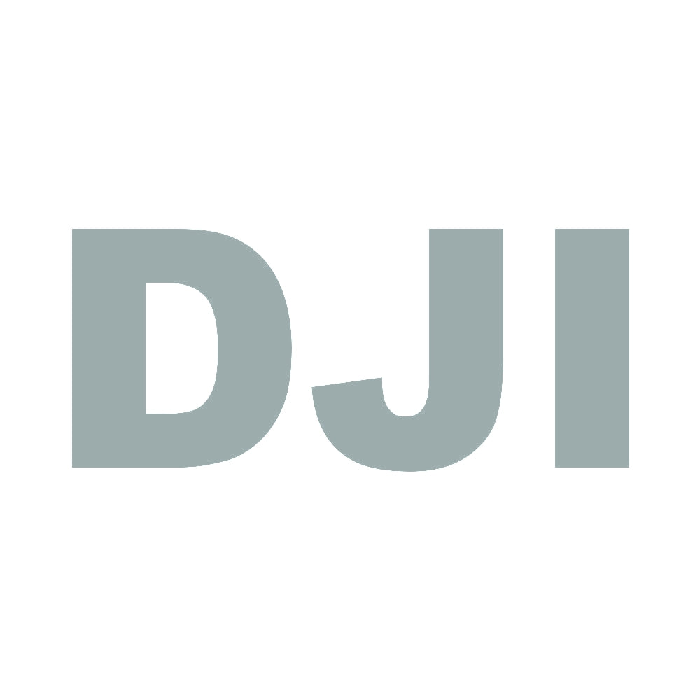 DJI 10