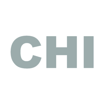 CHI 10