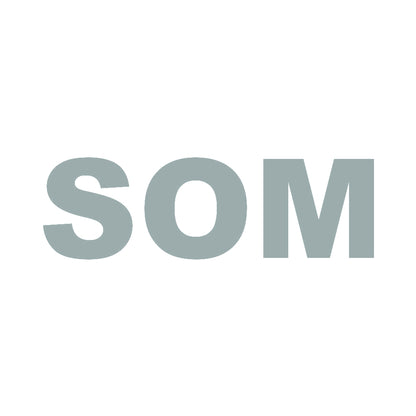 SOM 10