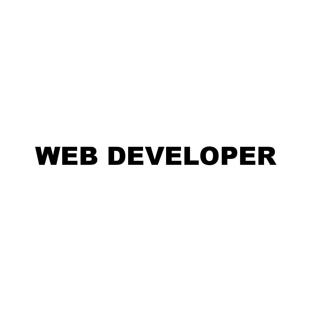 WEB DEVELOPER