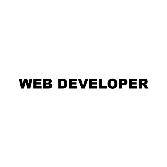 WEB DEVELOPER