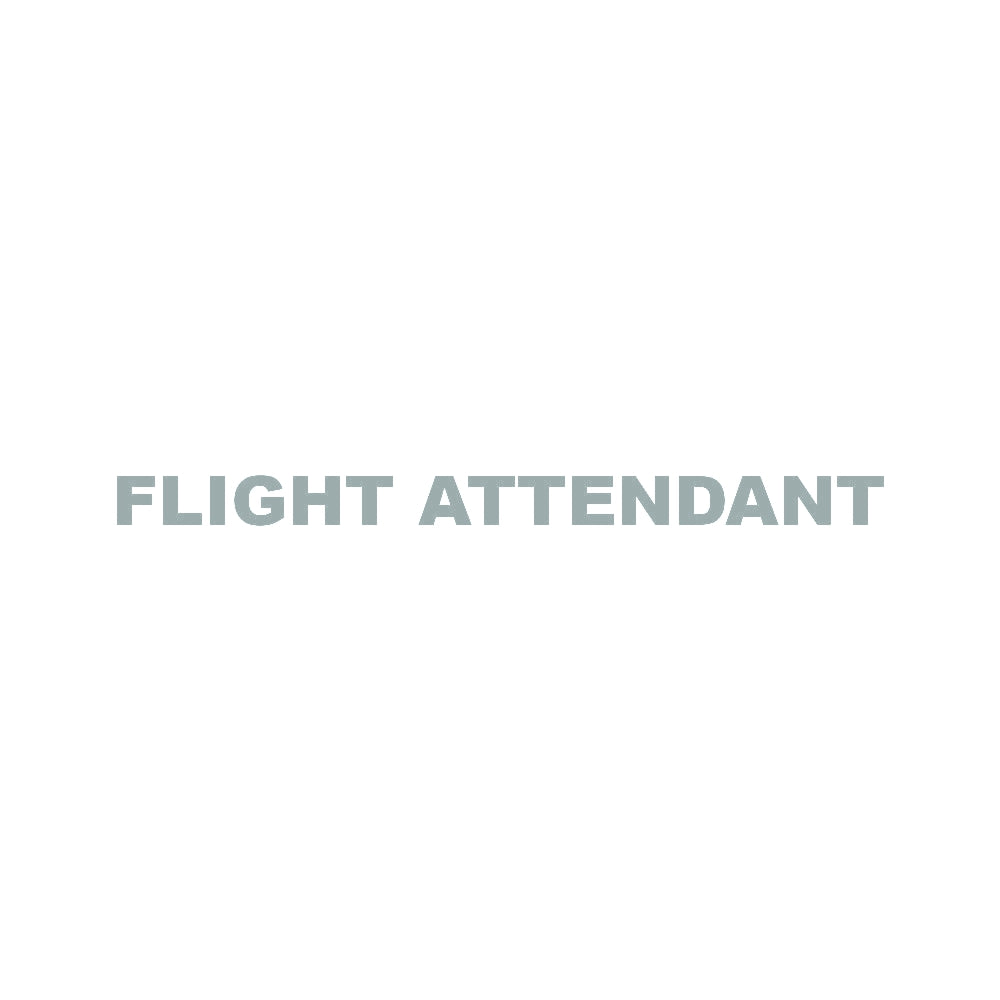FLIGHT ATTENDANT 10