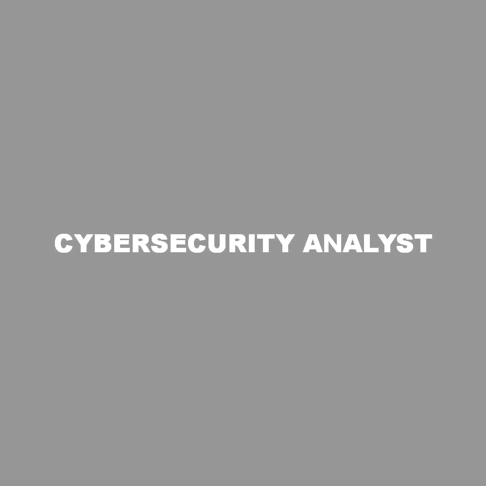 CYBERSECURITY ANALYST 7