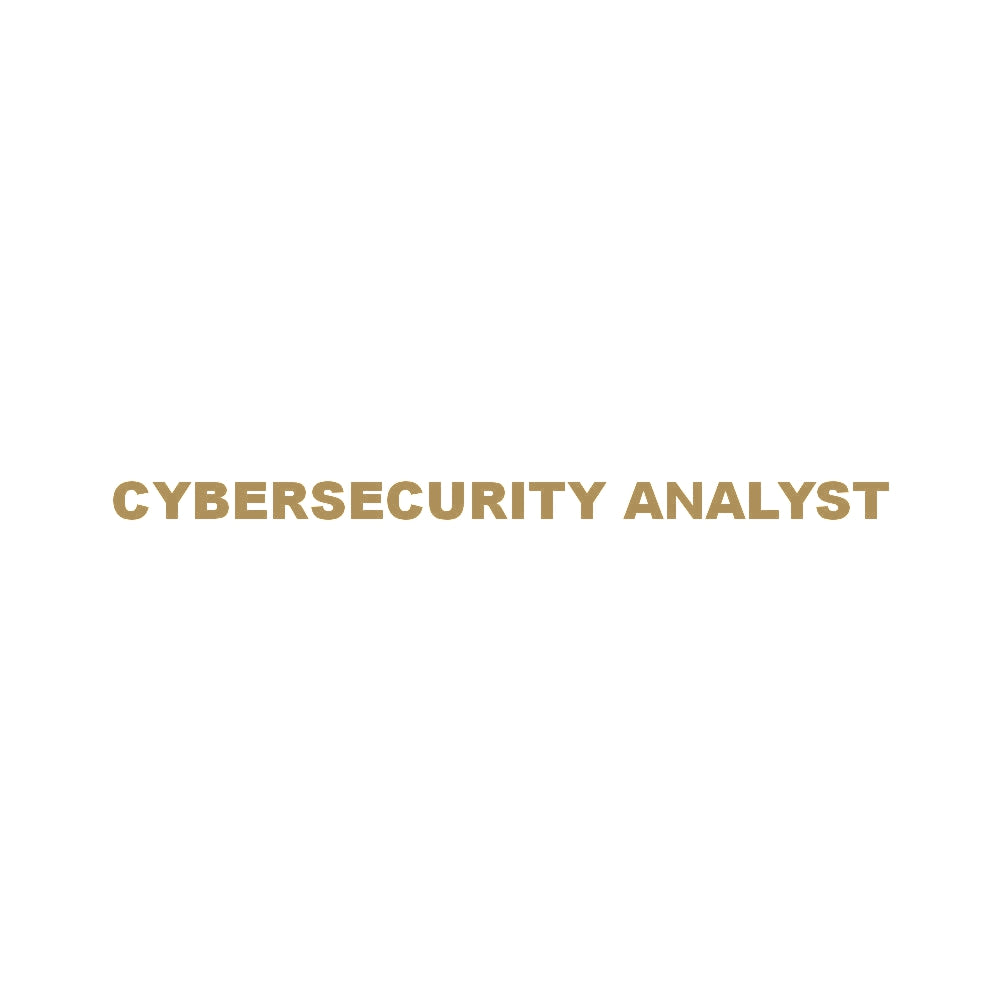 CYBERSECURITY ANALYST 9
