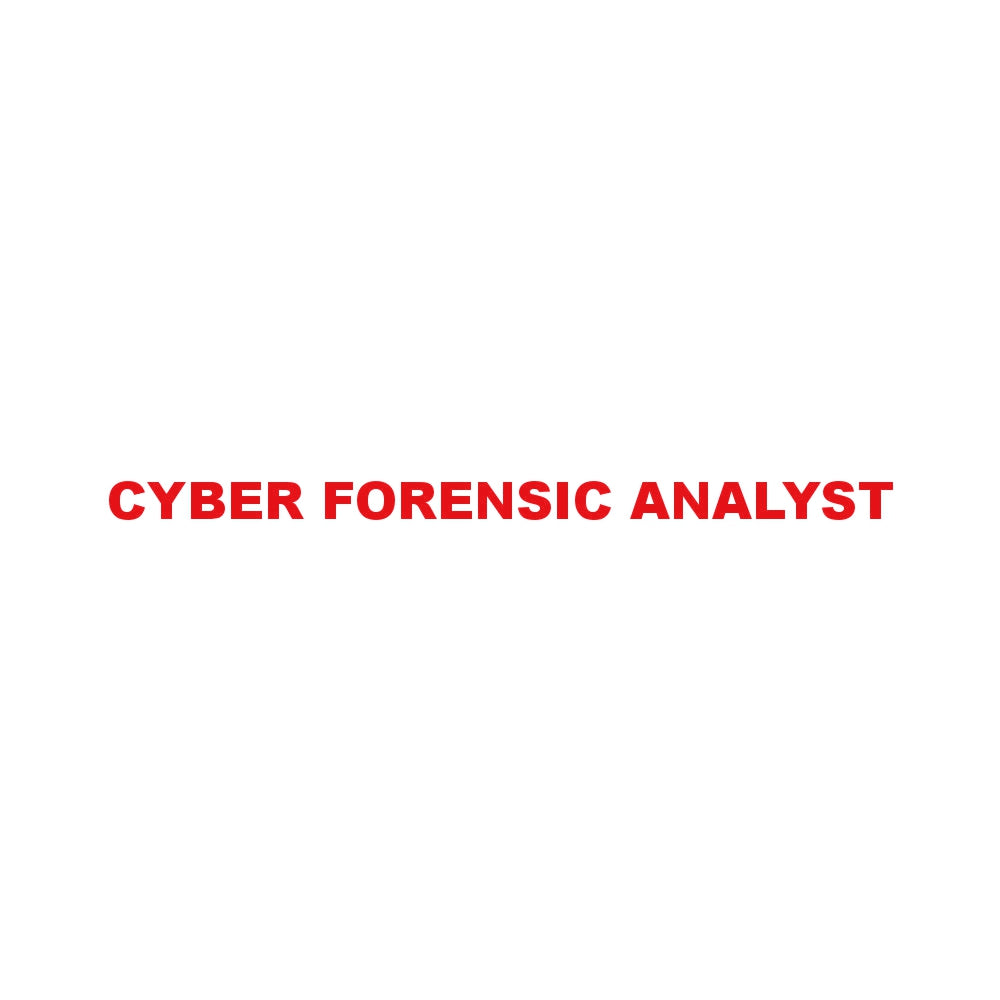 CYBER FORENSIC ANALYST 8
