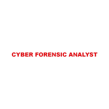 CYBER FORENSIC ANALYST 8